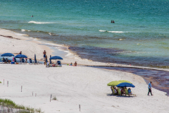 Blue Mountain Beach.com Dune Lake