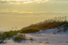 Topsoil Sand Dunes