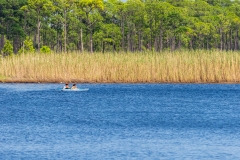 Western Lake Nature-1