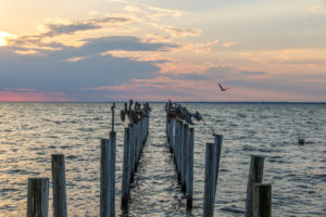 Santa Rosa Beach Florida Photos for Sale